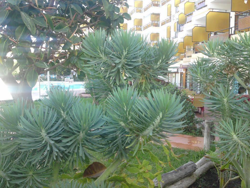 Apartamentos Europa Playa del Ingles  Exterior photo